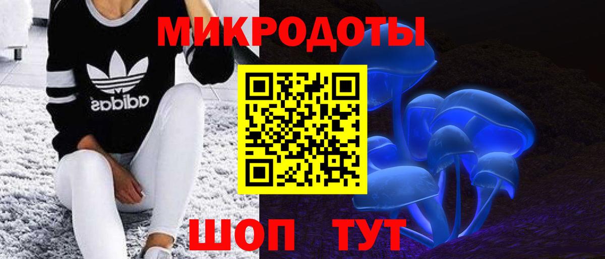 Псилоцибиновые грибы Psilocybine cubensis Камень-на-Оби