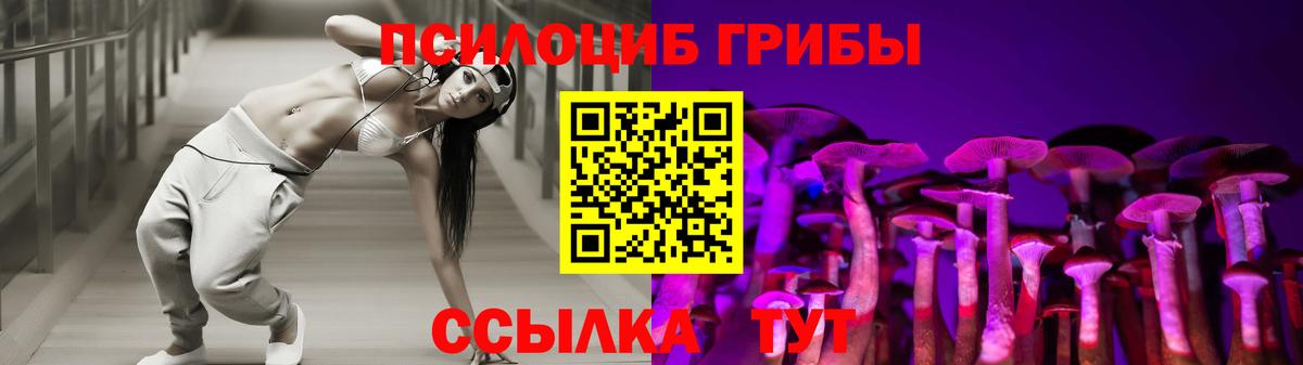 Камень-на-Оби  Псилоцибиновые грибы Magic Shrooms  Вход с VPN 