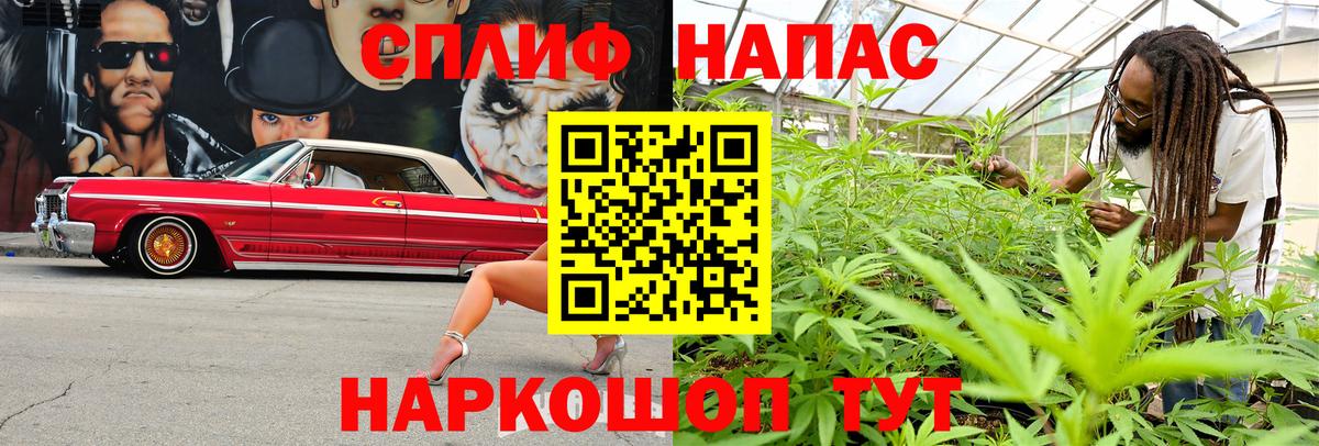 Шишки марихуана семена  Вход с VPN  Бошки Шишки конопля  Камень-на-Оби  Бошки Шишки планчик 